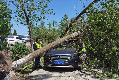 江苏人保财险 贯彻罗熹董事长指示，全力推进4.30大灾理赔与保险经纪业务协同发展